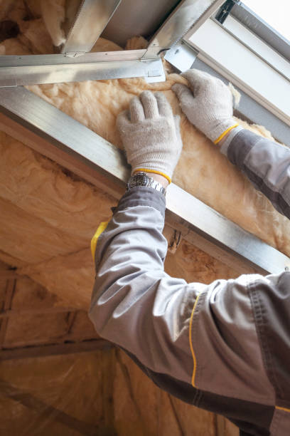 Best Insulation for Specific Applications in La Mesa, CA