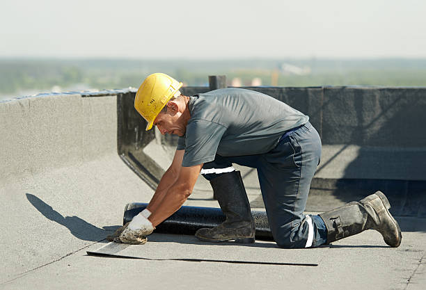 Best Insulation Materials and Products in La Mesa, CA